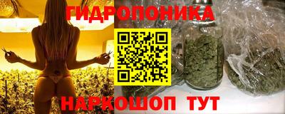mdpv Краснокаменск