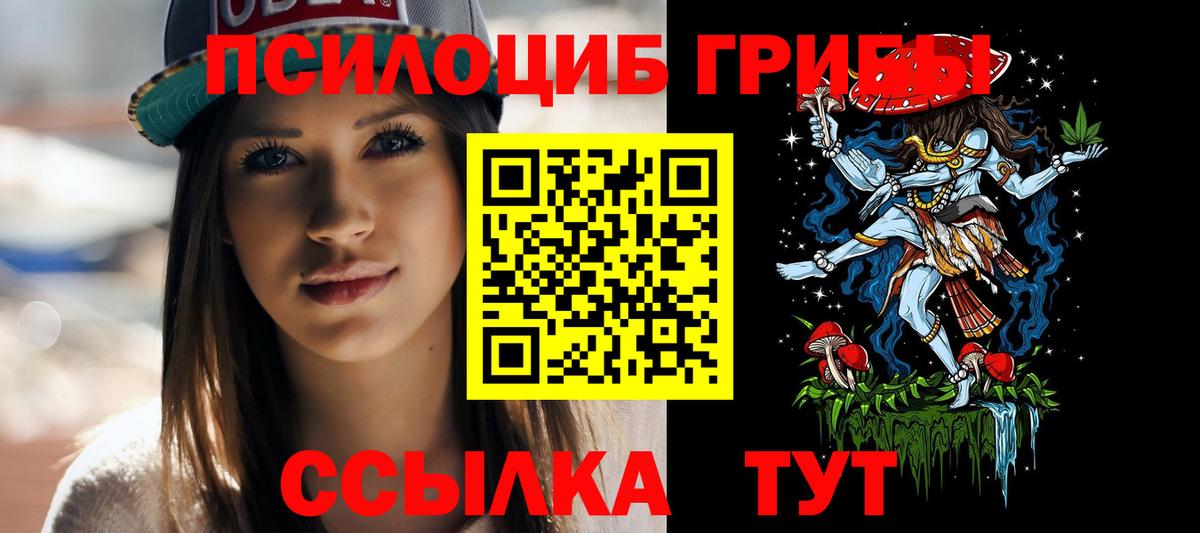 Псилоцибиновые грибы Psilocybe  Вход с VPN  Псилоцибиновые грибы мухоморы  Гусиноозёрск 