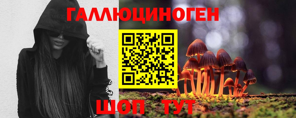 Псилоцибиновые грибы мицелий Гусиноозёрск